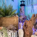 Turísticos La Boutique Del Mar Apartamento Conil De La Frontera