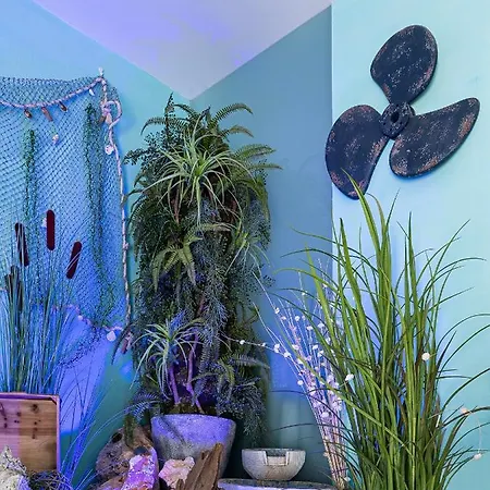 Turisticos La Boutique Del Mar Апартаменти Коніль-де-ла-Фронтера