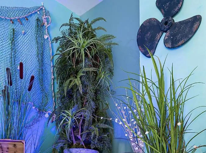 Turisticos La Boutique Del Mar Апартаменты Кониль-де-ла-Фронтера