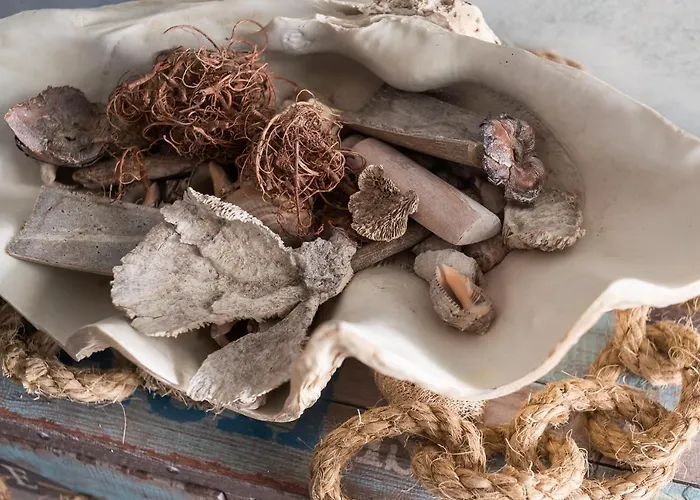 Апартаменты Turisticos La Boutique Del Mar *