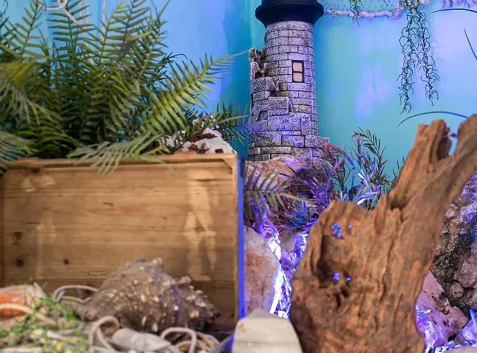 Turisticos La Boutique Del Mar Апартаменты Кониль-де-ла-Фронтера