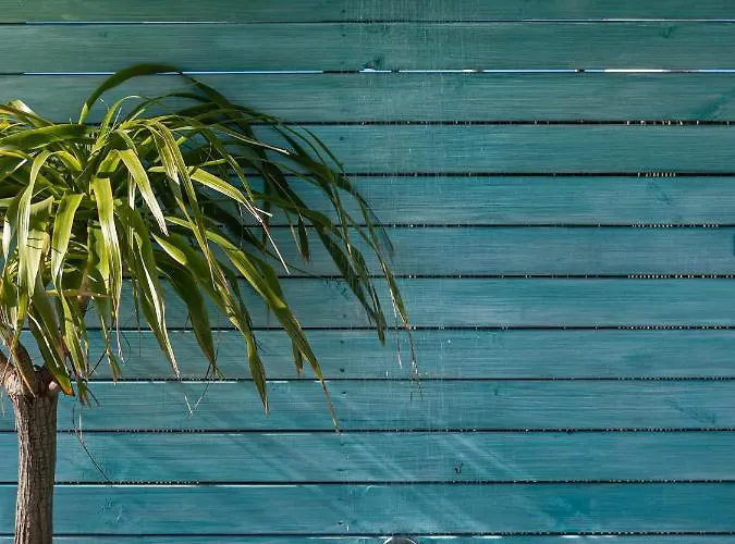 Апартаменты Turisticos La Boutique Del Mar *